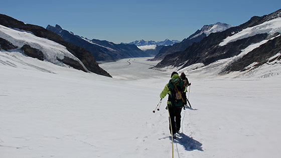 Hiking down the Jungfraufirn 
 towards Konkordiaplatz