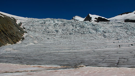 Ewigschneefld (Eternal snow field) 
 one of the three main Aletsch Glacier's affluents