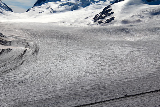 The Great Aletschfirn and the Hollandia Hut in the far background 
 The three human silhouettes give the scale of the debris 
 on the Kranzbergmorne, the westernmost medial moraine