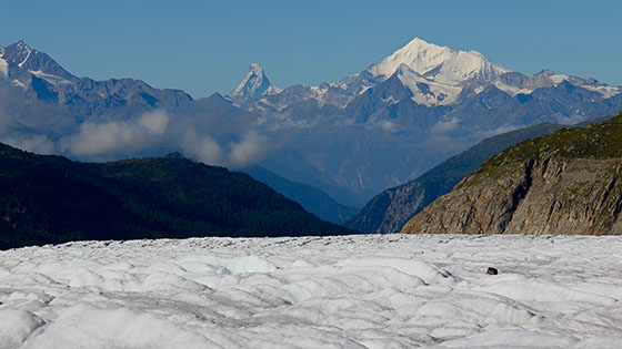 The Matterhorn in the distance 
 Il Cervino in Italian or Cervin in French