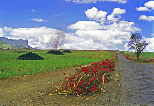 Mauritius then and now