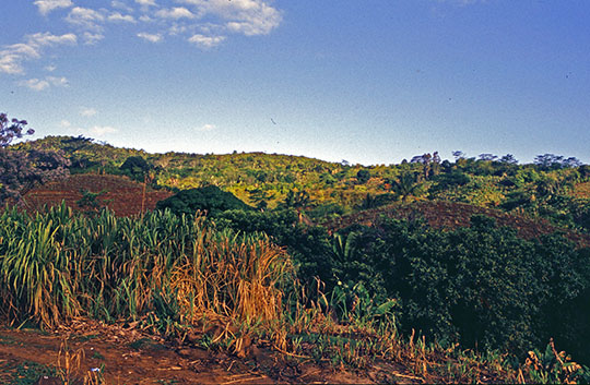 Most likely going up the hills, on the road connecting Maconde to Chamarel