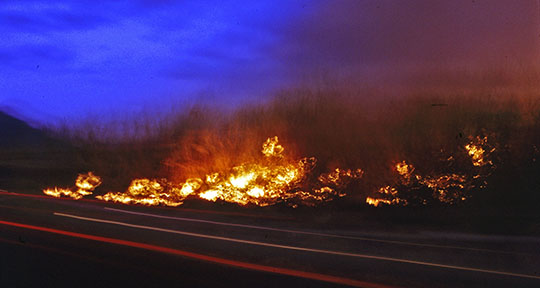 Controlled fire in the sugar cane fields 
 Being hand harvested, the fields are first set on fire to burn the dry leaves without harming the stalks and roots