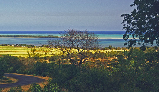 With the morning light, the lagoon around l'le aux Bnitiers and its colors offer quite a different experience