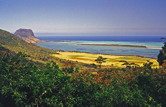 le aux Bnitiers 
 La Gaulette 
 Le Morne in the distance on the left 
 1992