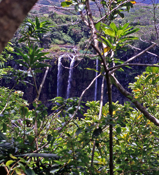 The Chamarel waterfall was barely visible in 1992 
 One had to peep through the tree branches to try to see it