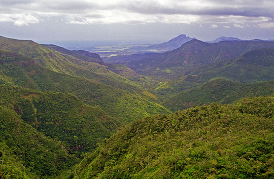 Black River Gorges Viewpoint