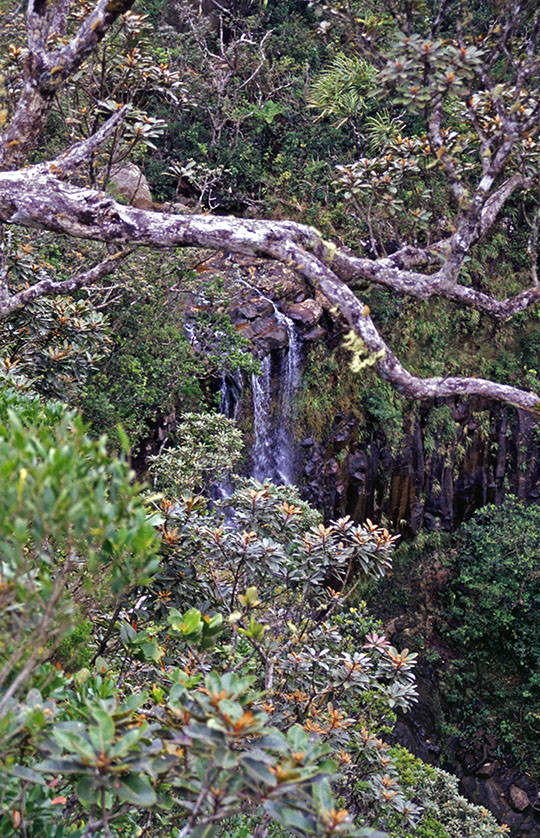 The access to Alexandra Falls was also quite wild 
 1992