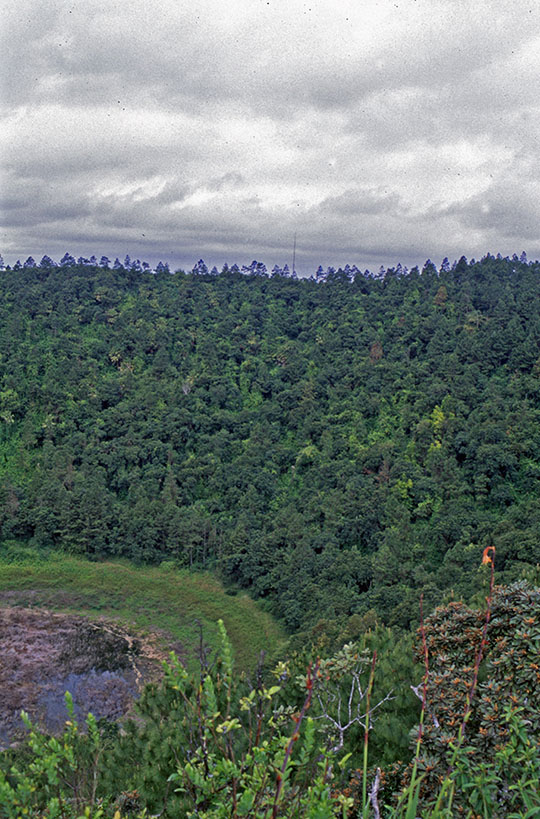 Trou aux Cerfs volcano in Curepipe