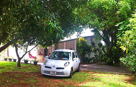 The same house in 2013 with its grown up mango trees 
 providing us all with plenty of daily fresh mango fruits, perfectly ripe around Christmas