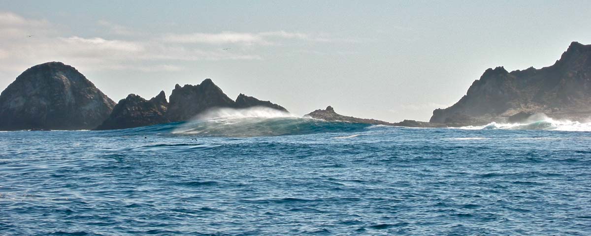Whale Watching at the Farallon Islands, California